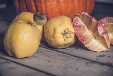 fruits coings