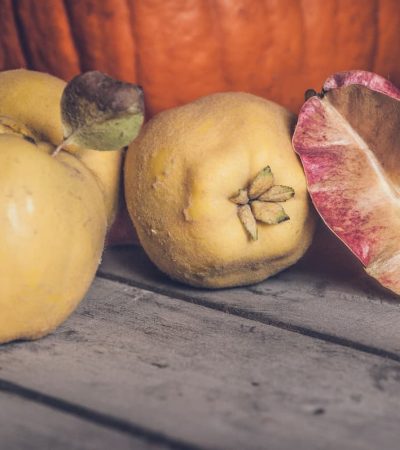 fruits coings